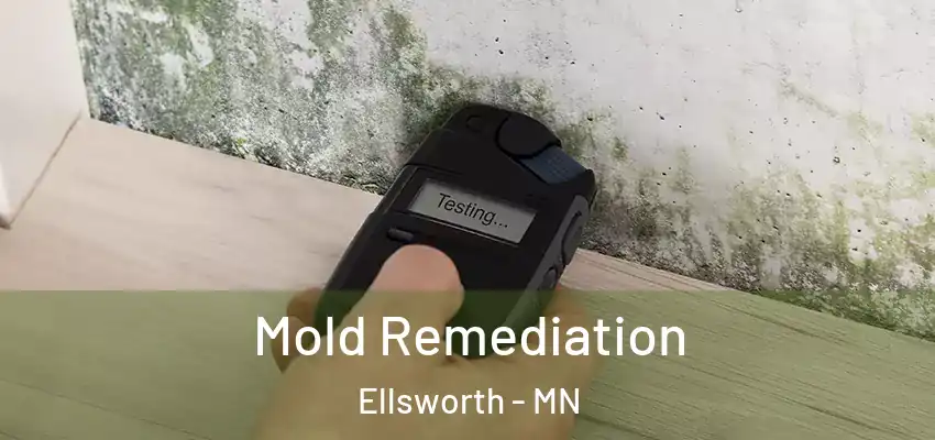  Mold Remediation Ellsworth - MN