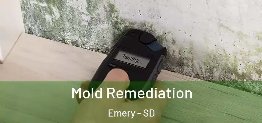  Mold Remediation Emery - SD