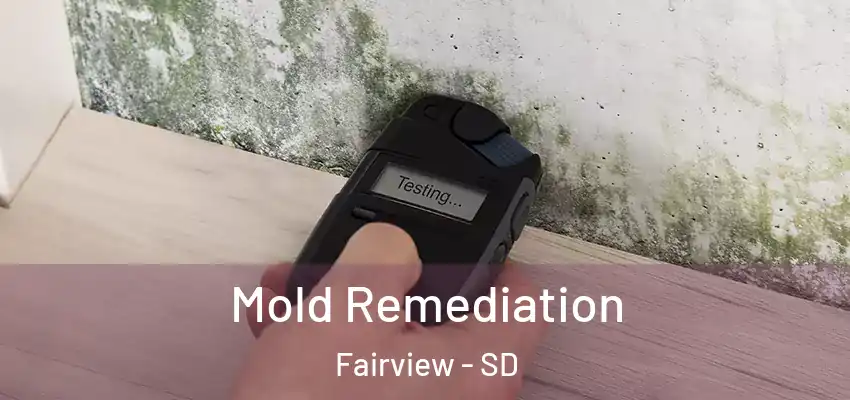  Mold Remediation Fairview - SD