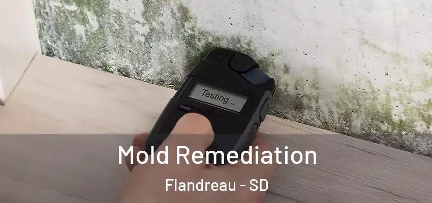  Mold Remediation Flandreau - SD