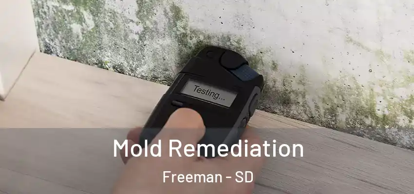  Mold Remediation Freeman - SD
