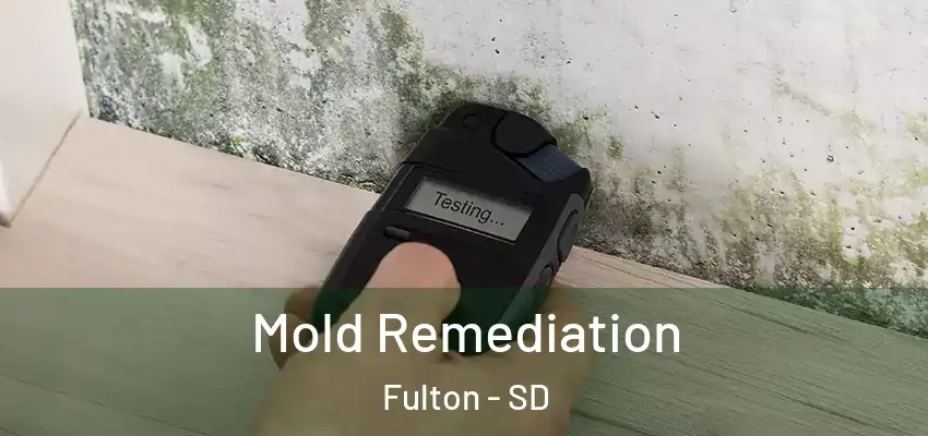 Mold Remediation Fulton - SD