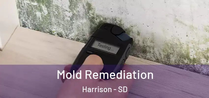  Mold Remediation Harrison - SD