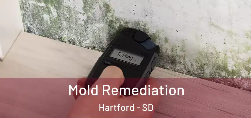  Mold Remediation Hartford - SD