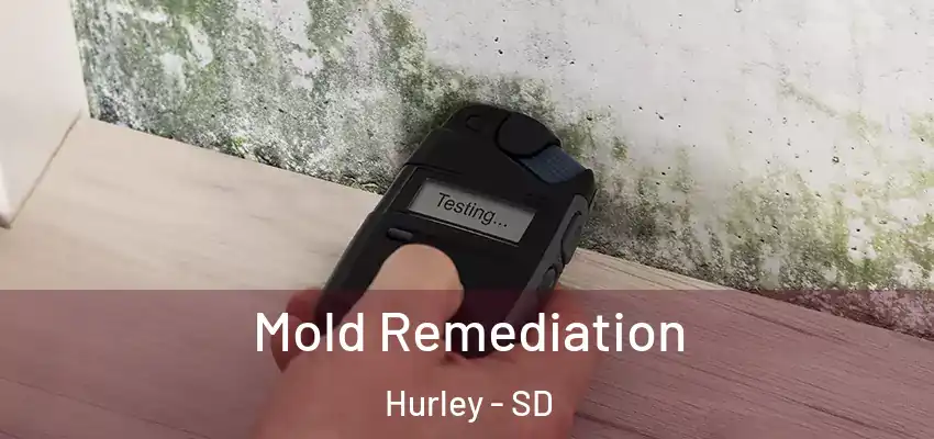  Mold Remediation Hurley - SD