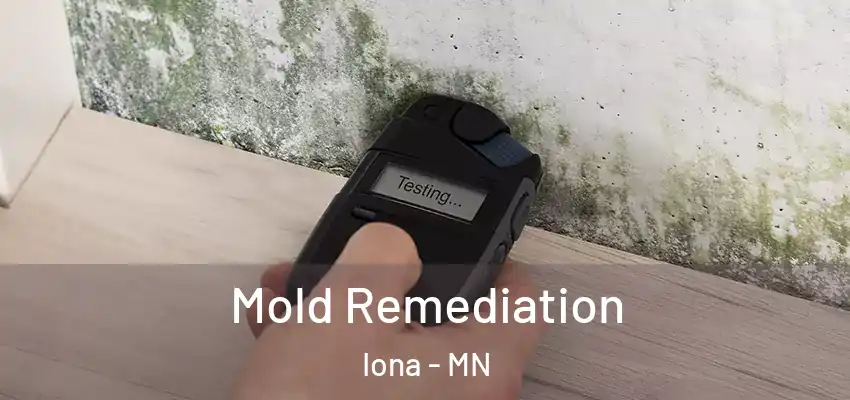  Mold Remediation Iona - MN