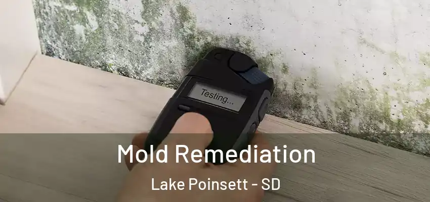 Mold Remediation Lake Poinsett - SD