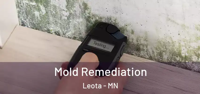  Mold Remediation Leota - MN