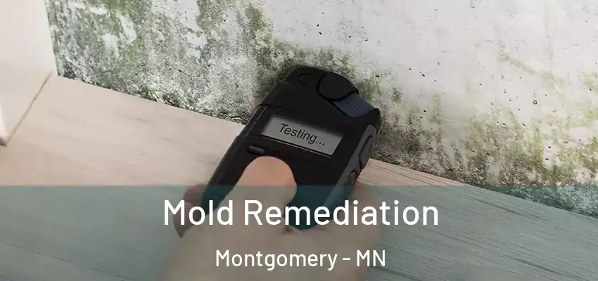  Mold Remediation Montgomery - MN