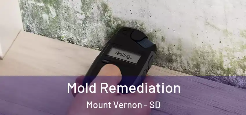  Mold Remediation Mount Vernon - SD
