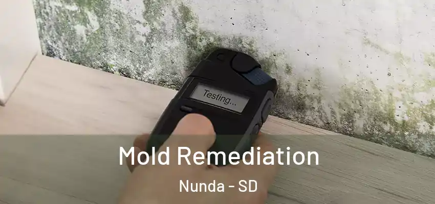  Mold Remediation Nunda - SD