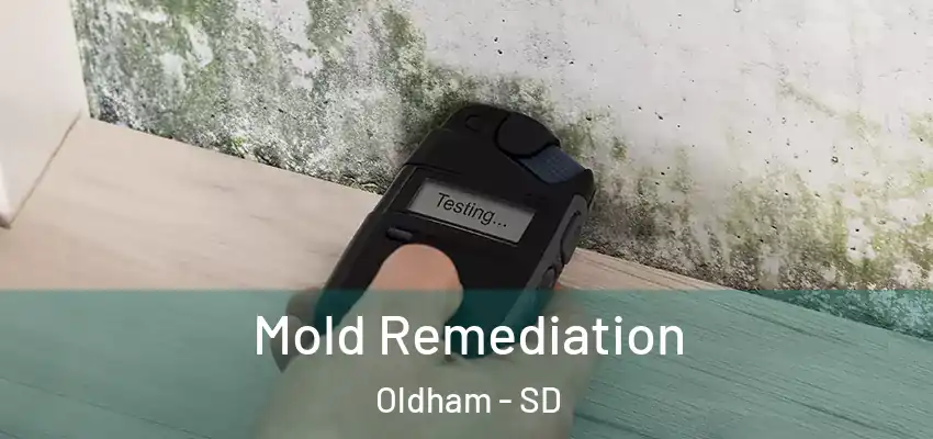  Mold Remediation Oldham - SD