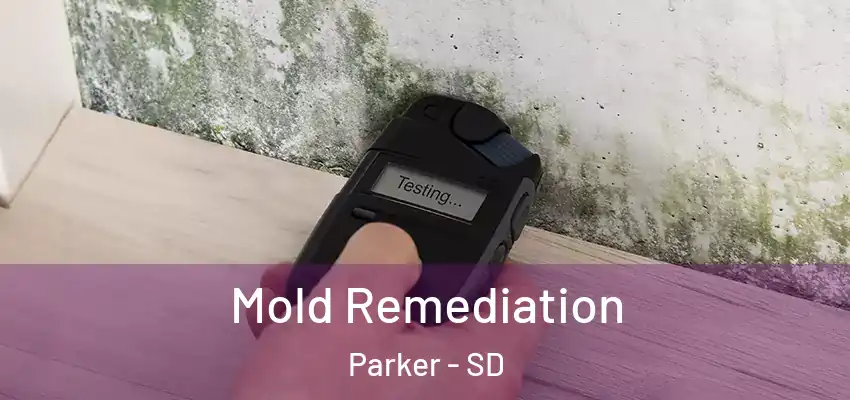  Mold Remediation Parker - SD