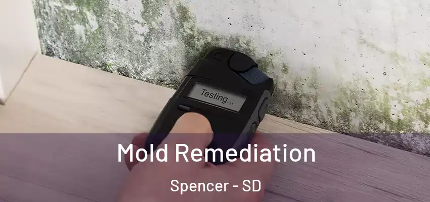 Mold Remediation Spencer - SD