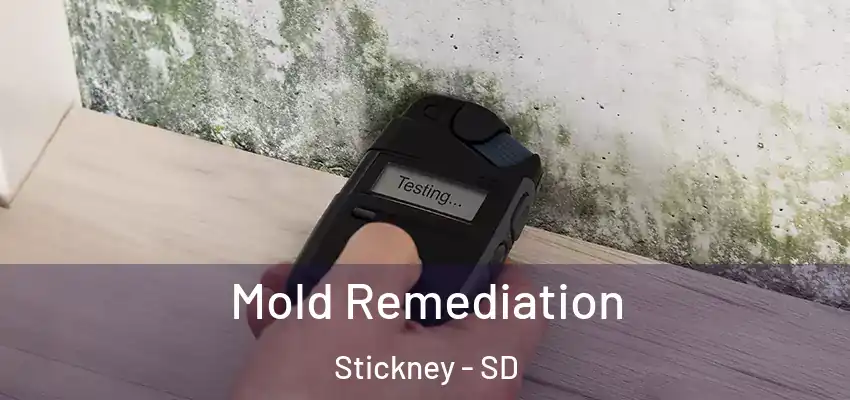  Mold Remediation Stickney - SD