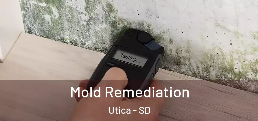  Mold Remediation Utica - SD