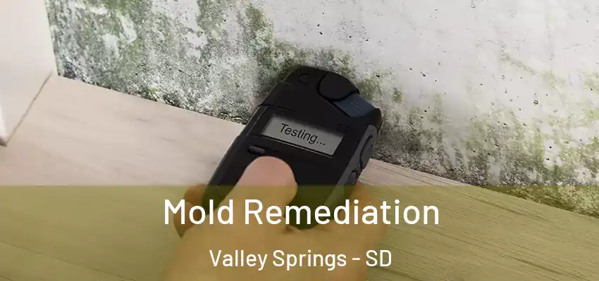  Mold Remediation Valley Springs - SD