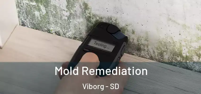  Mold Remediation Viborg - SD