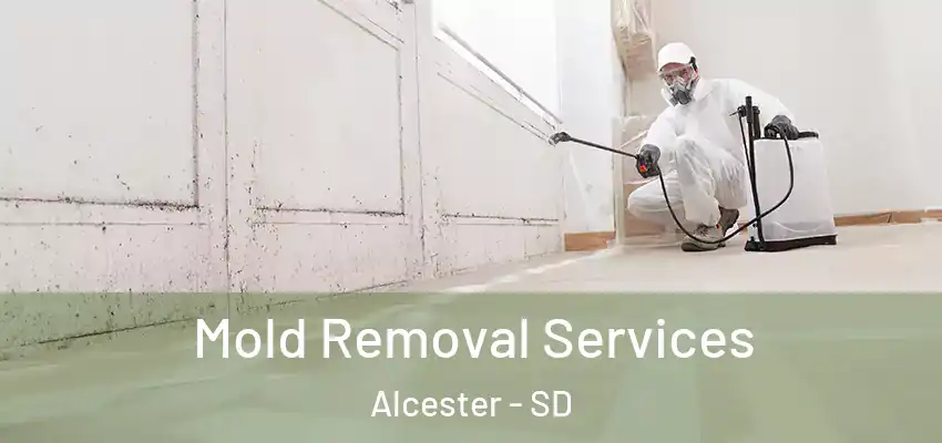 Mold Removal Services Alcester - SD