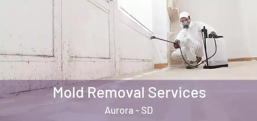  Mold Removal Services Aurora - SD