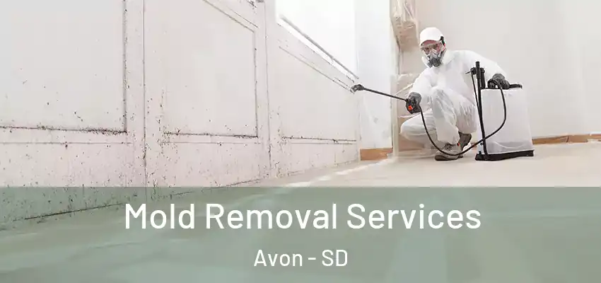  Mold Removal Services Avon - SD