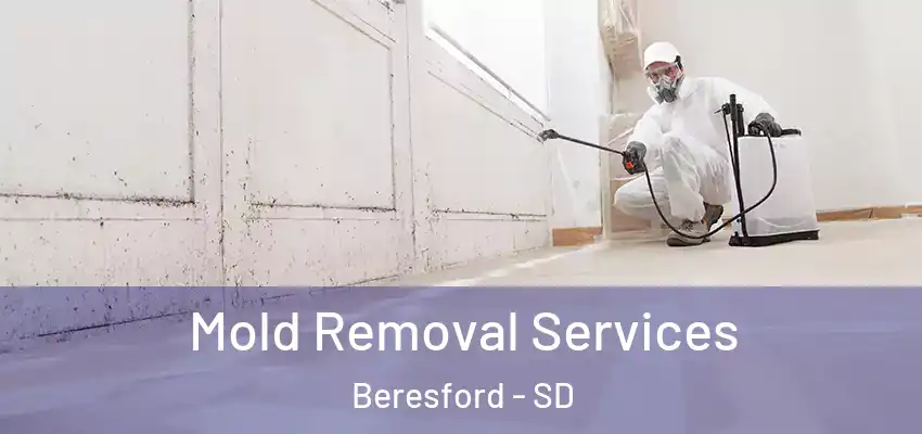  Mold Removal Services Beresford - SD