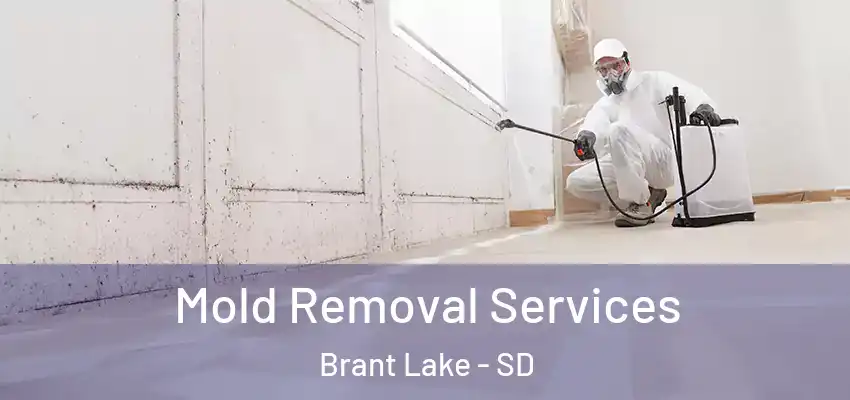  Mold Removal Services Brant Lake - SD