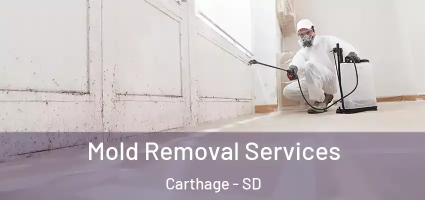  Mold Removal Services Carthage - SD