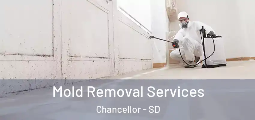  Mold Removal Services Chancellor - SD