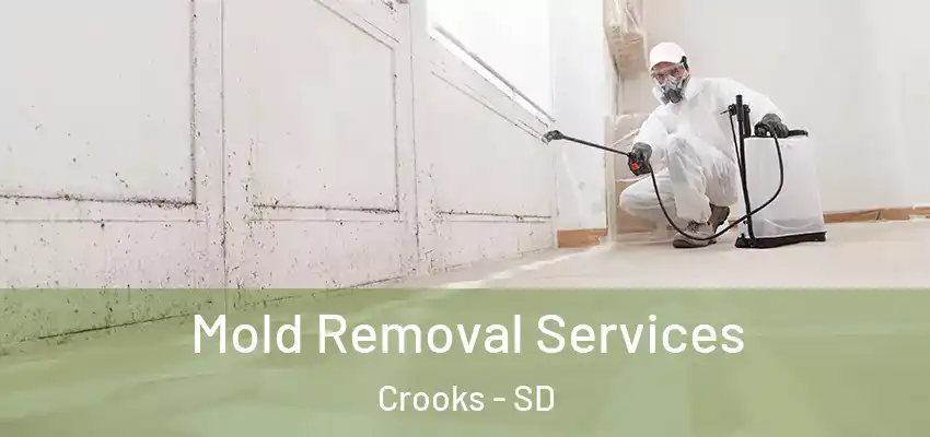  Mold Removal Services Crooks - SD