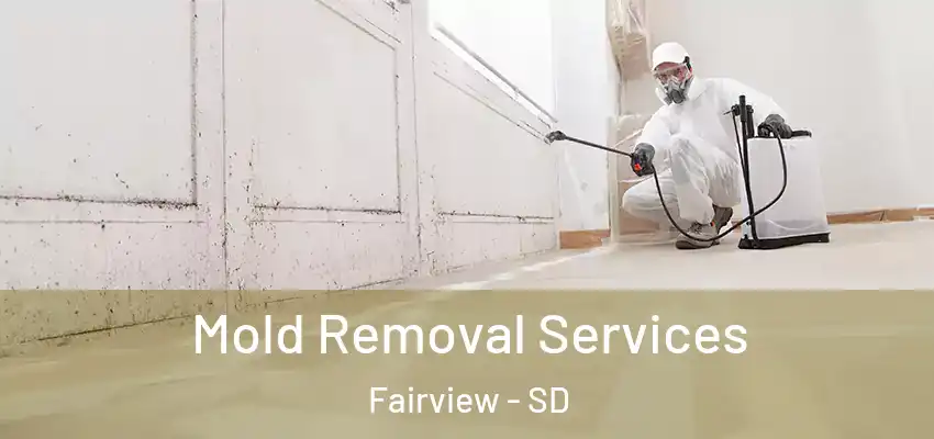  Mold Removal Services Fairview - SD