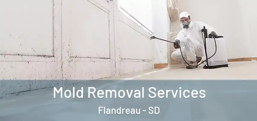  Mold Removal Services Flandreau - SD