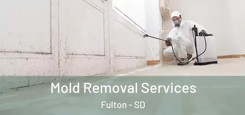  Mold Removal Services Fulton - SD