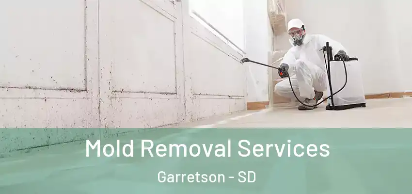 Mold Removal Services Garretson - SD