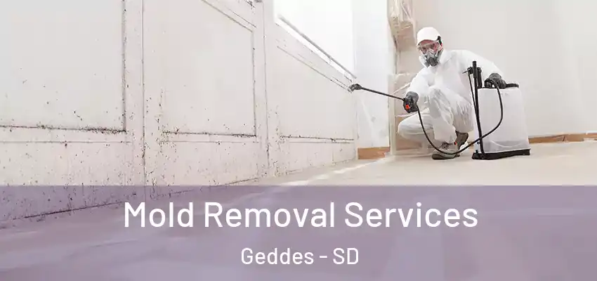  Mold Removal Services Geddes - SD
