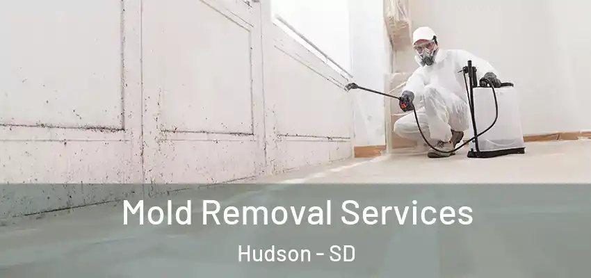 Mold Removal Services Hudson - SD