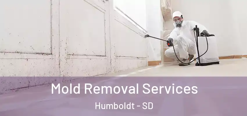  Mold Removal Services Humboldt - SD