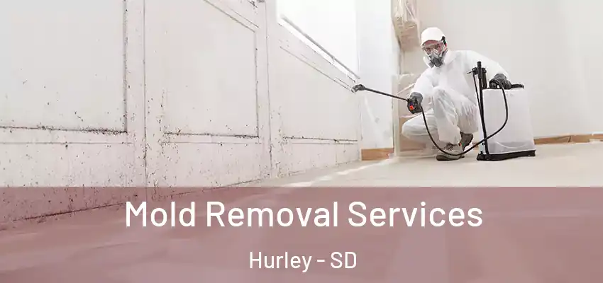 Mold Removal Services Hurley - SD