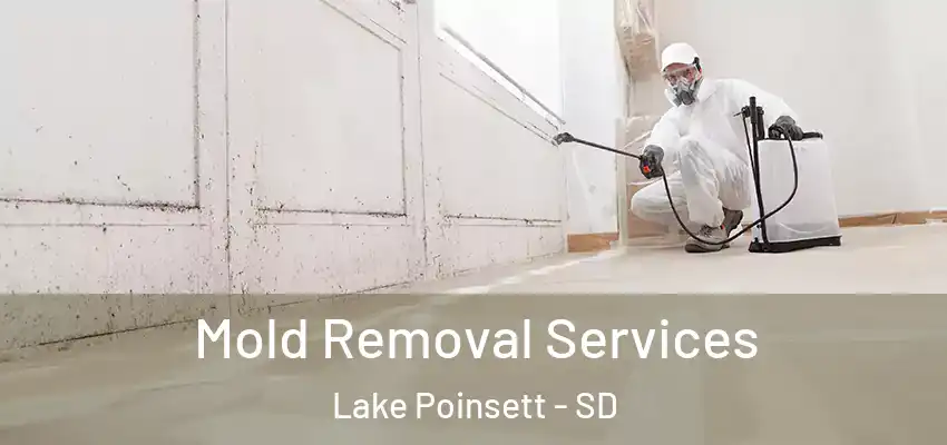 Mold Removal Services Lake Poinsett - SD
