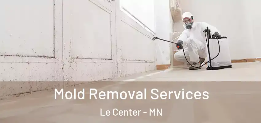  Mold Removal Services Le Center - MN