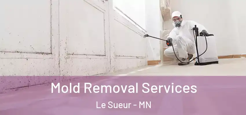  Mold Removal Services Le Sueur - MN