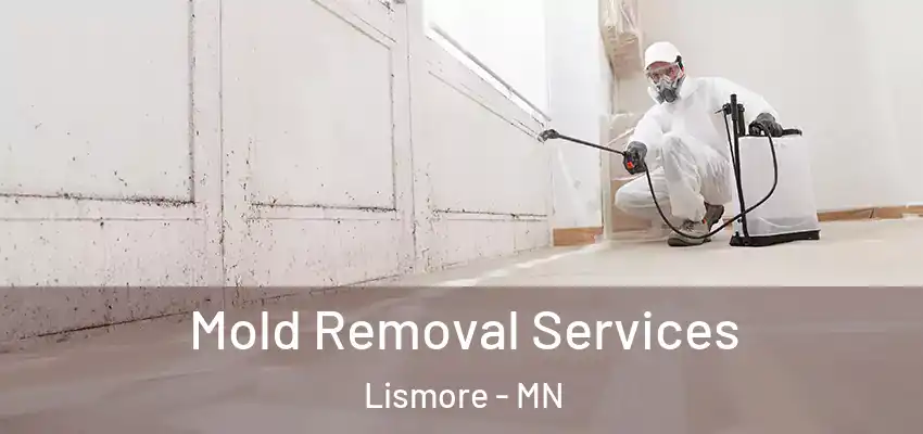  Mold Removal Services Lismore - MN