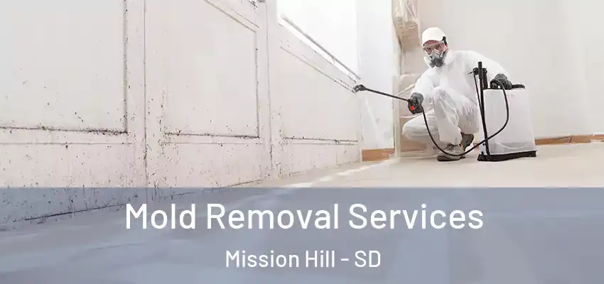  Mold Removal Services Mission Hill - SD