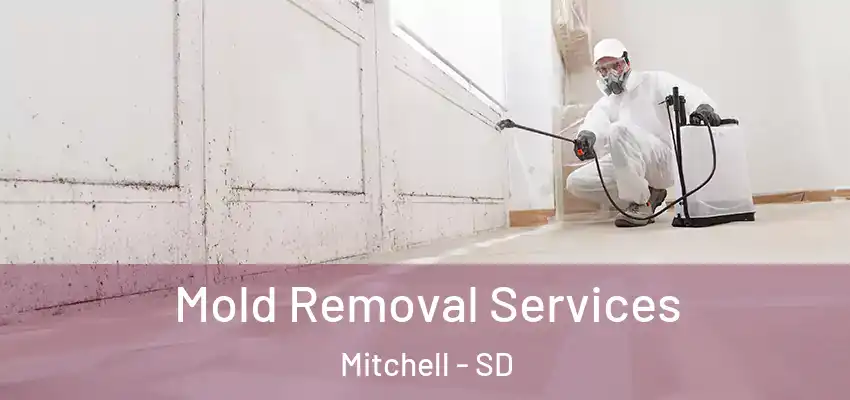  Mold Removal Services Mitchell - SD