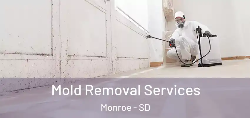 Mold Removal Services Monroe - SD
