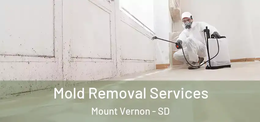  Mold Removal Services Mount Vernon - SD