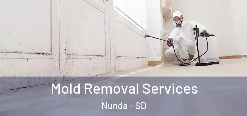  Mold Removal Services Nunda - SD