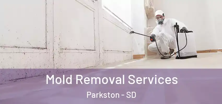  Mold Removal Services Parkston - SD