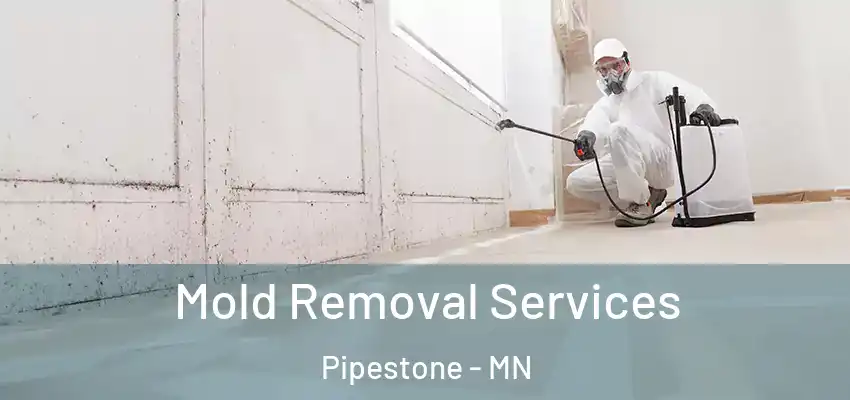  Mold Removal Services Pipestone - MN