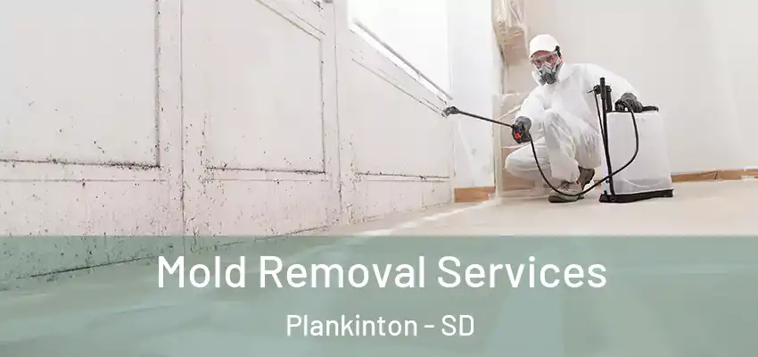  Mold Removal Services Plankinton - SD